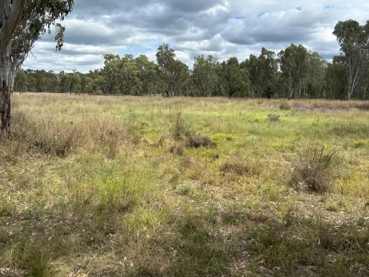 Fourth view of Homely rural property listing, 93 Fairford Road, Warialda NSW 2402