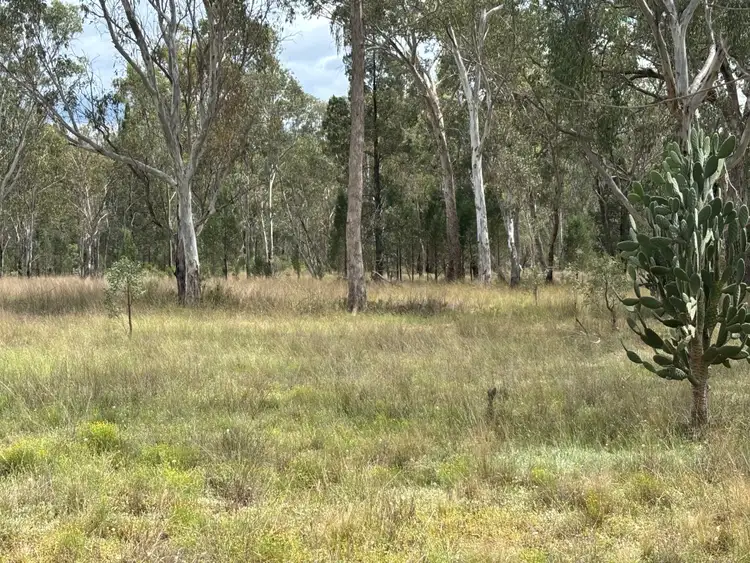 Sixth view of Homely rural property listing, 93 Fairford Road, Warialda NSW 2402