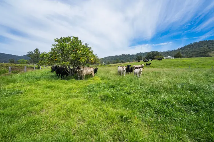 Sixth view of Homely rural property listing, 673 Summer Hill Road, Vacy NSW 2421