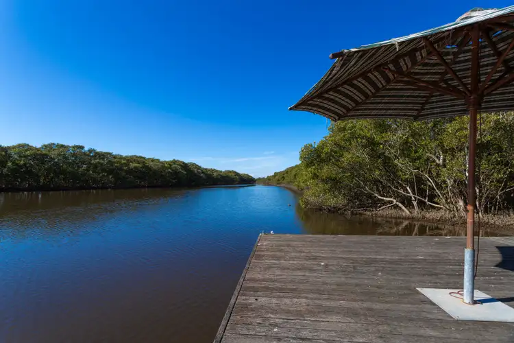Second view of Homely rural property listing, 849 Comerong Island Road, Numbaa NSW 2540