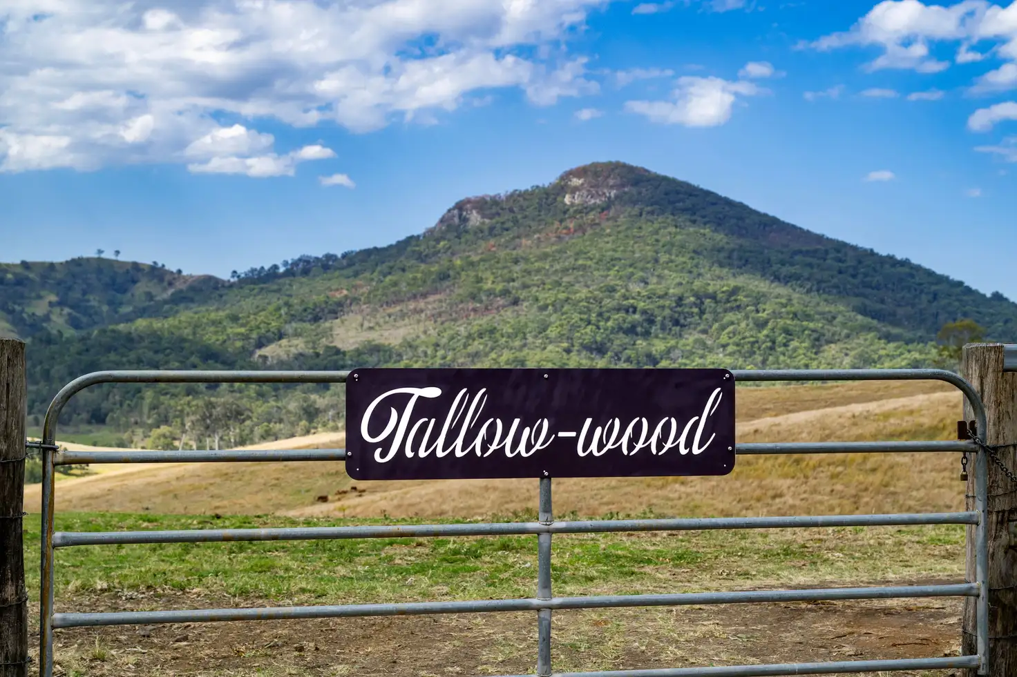 Main view of Homely rural property listing, Lot 13 Cnr Cannon Creek Road & Ridge Road, Maroon QLD 4310