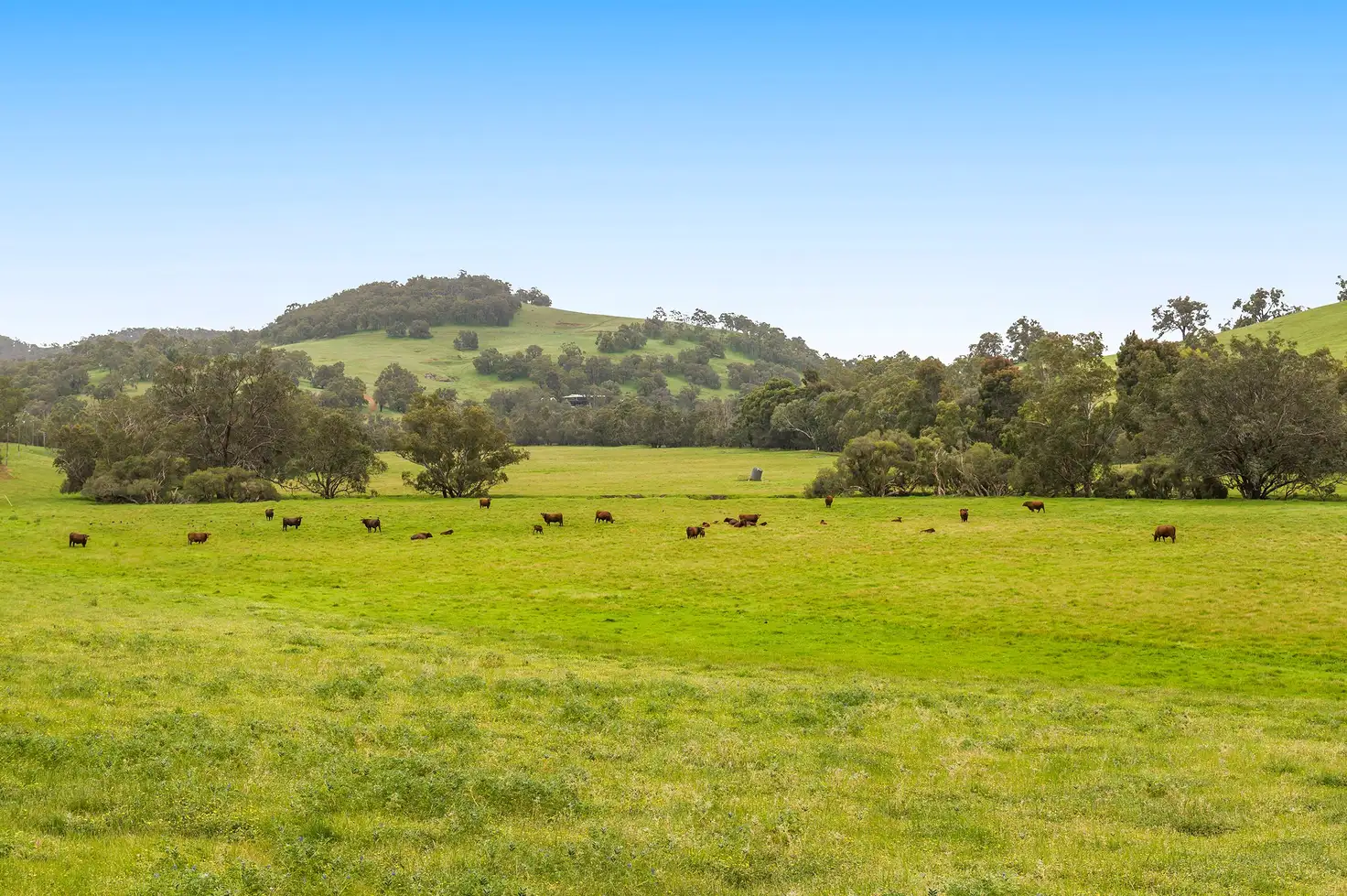 Main view of Homely land listing, Lot 107 Valley View Drive, Chittering WA 6084