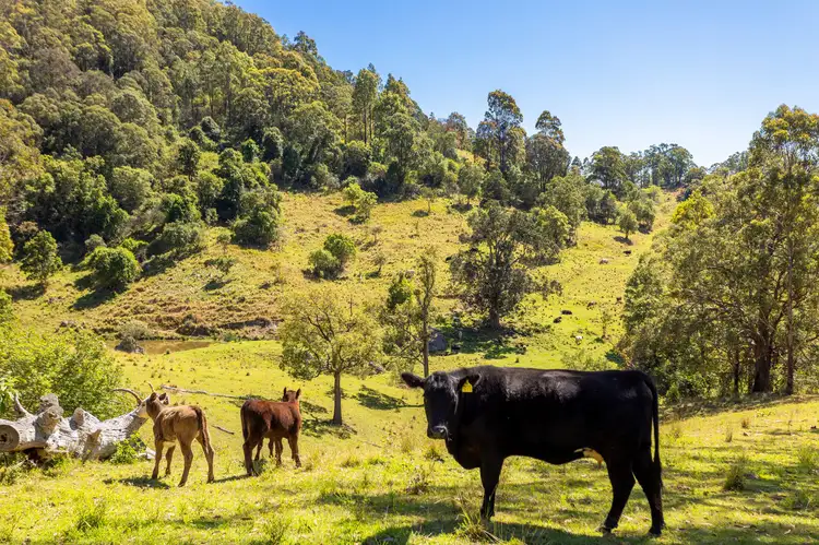 Fourth view of Homely rural property listing, 233 Thunderbolts Way, Gloucester NSW 2422