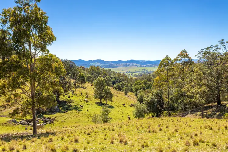 Fifth view of Homely rural property listing, 233 Thunderbolts Way, Gloucester NSW 2422