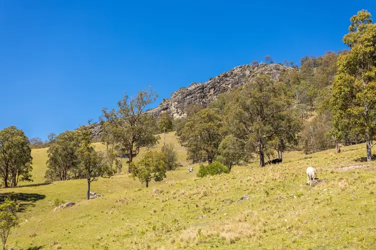 Seventh view of Homely rural property listing, 233 Thunderbolts Way, Gloucester NSW 2422