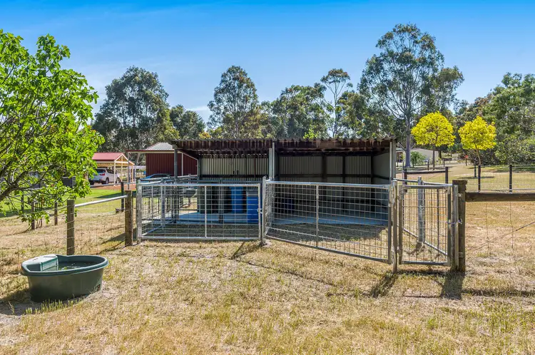 Fifth view of Homely house listing, 309 Ayrshire Loop, Lower Chittering WA 6084