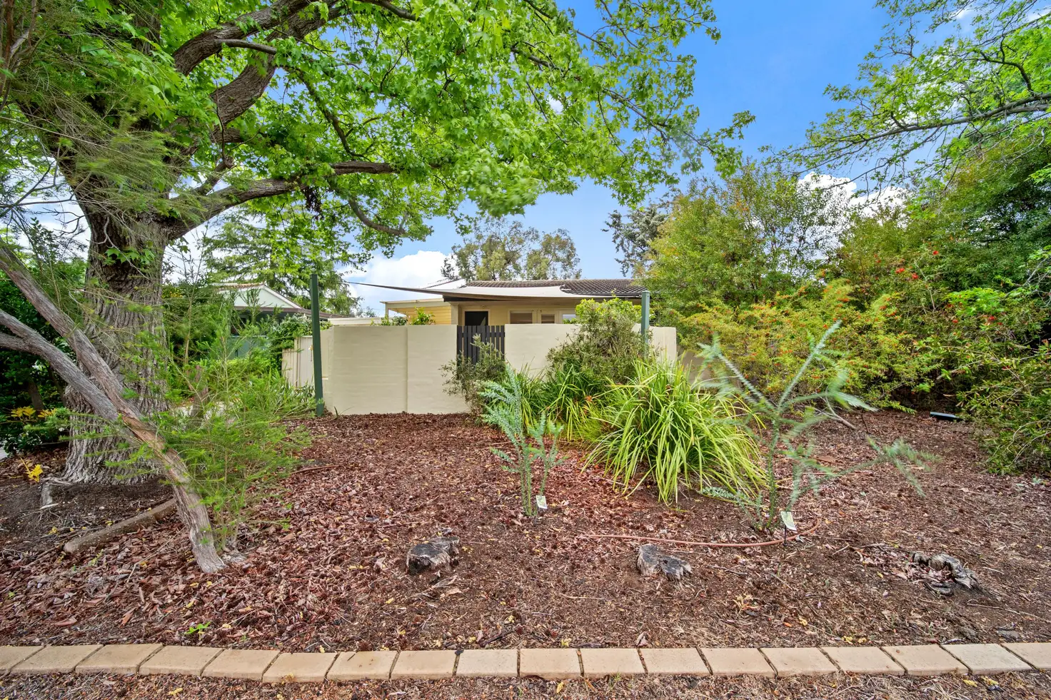 Main view of Homely house listing, 4 Fenner Street, Downer ACT 2602