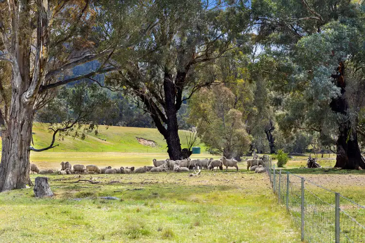 Fifth view of Homely land listing, 20 & 25 Glenlofty - Warrenmang Road, Warrenmang VIC 3478