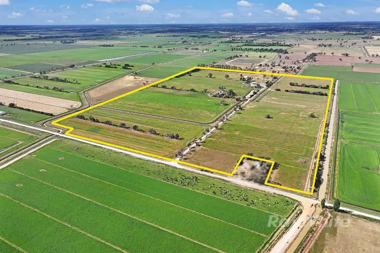 Main view of Homely rural property listing, 1239 McBain Road, Tongala VIC 3621