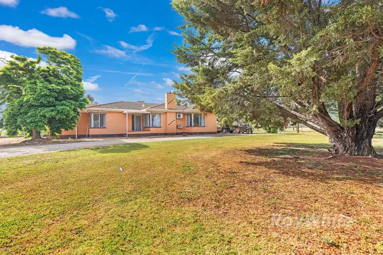 Third view of Homely rural property listing, 1239 McBain Road, Tongala VIC 3621