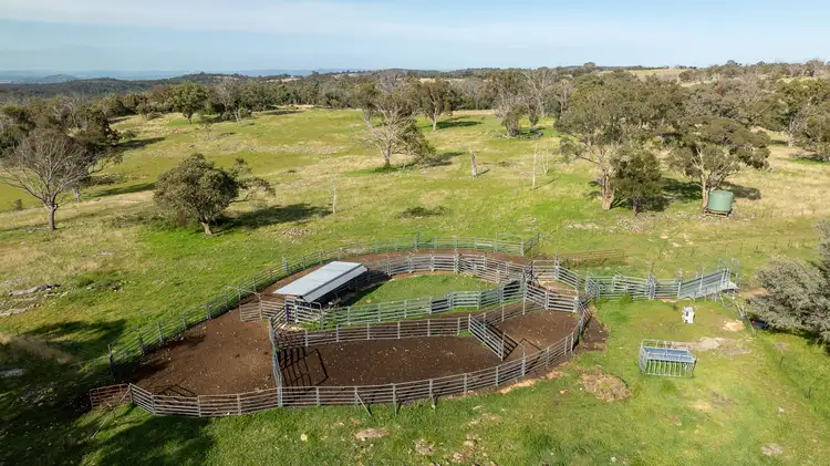 Second view of Homely rural property listing, 874 Ramah Road, Guyra NSW 2365