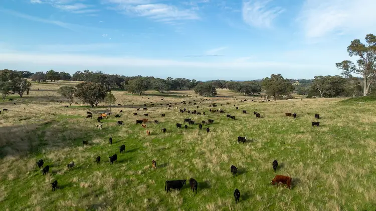Third view of Homely rural property listing, 874 Ramah Road, Guyra NSW 2365