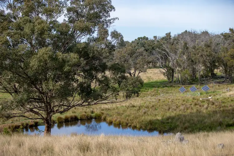 Sixth view of Homely rural property listing, 874 Ramah Road, Guyra NSW 2365