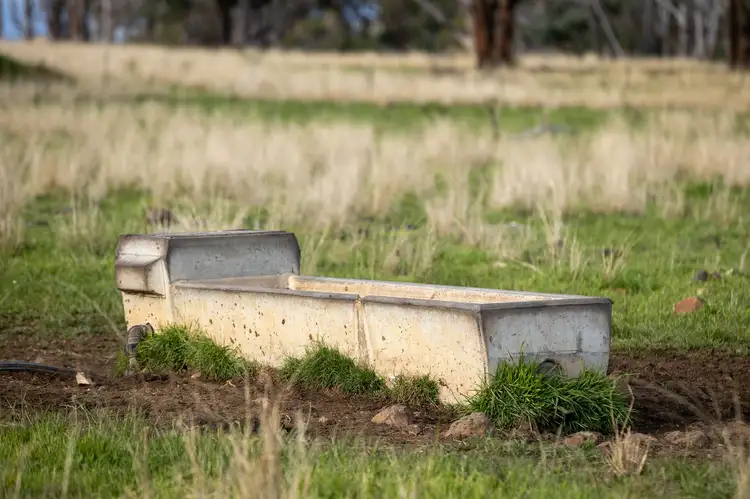 Seventh view of Homely rural property listing, 874 Ramah Road, Guyra NSW 2365