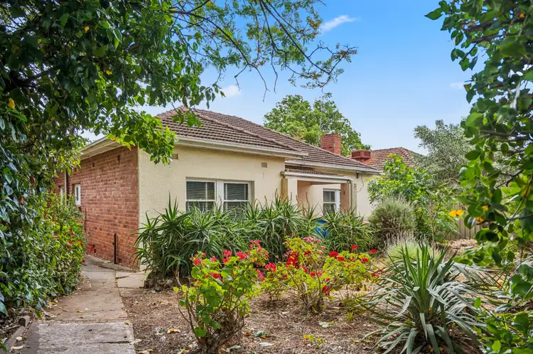 Second view of Homely house listing, 23 Primrose Terrace, Rosslyn Park SA 5072