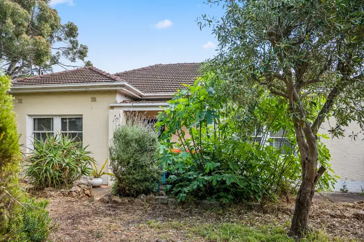 Third view of Homely house listing, 23 Primrose Terrace, Rosslyn Park SA 5072