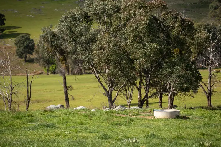Fifth view of Homely rural property listing, 1546 Baldersleigh Road, Guyra NSW 2365