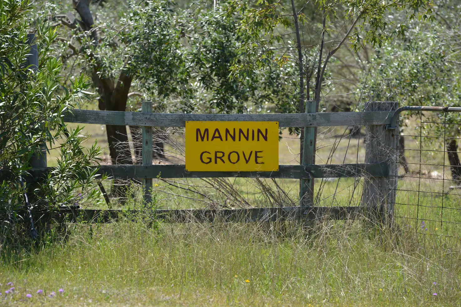 Main view of Homely rural property listing, 20 Kurrajong Road, Coonabarabran NSW 2357