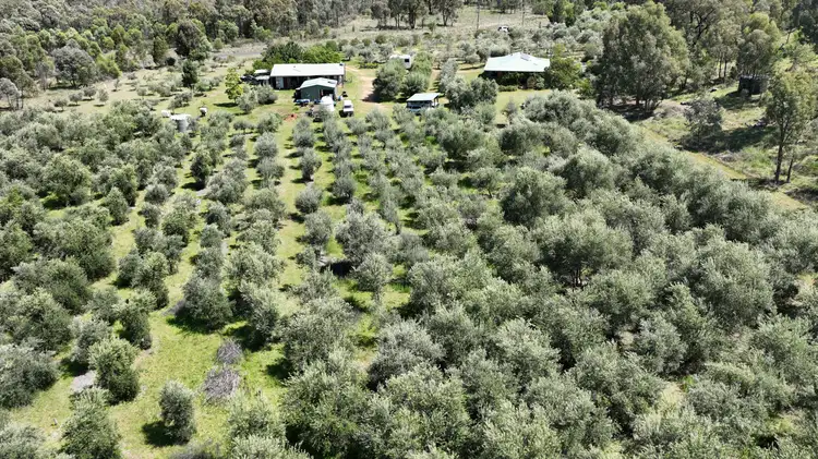 Second view of Homely rural property listing, 20 Kurrajong Road, Coonabarabran NSW 2357