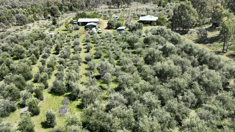 Third view of Homely rural property listing, 20 Kurrajong Road, Coonabarabran NSW 2357