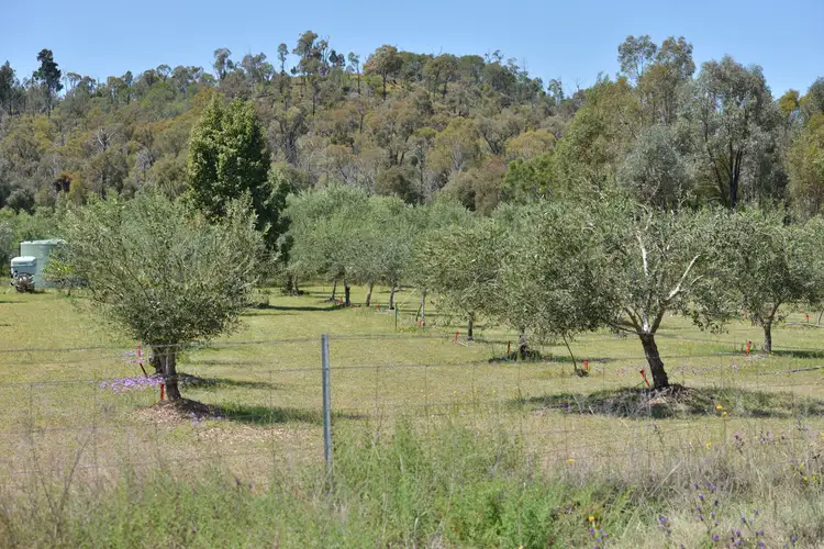 Sixth view of Homely rural property listing, 20 Kurrajong Road, Coonabarabran NSW 2357