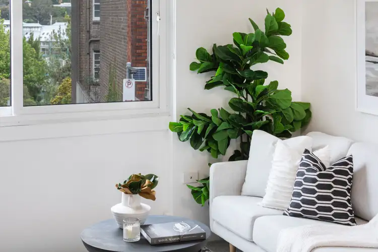 Fifth view of Homely studio listing, 2/3 Grantham Street, Potts Point NSW 2011