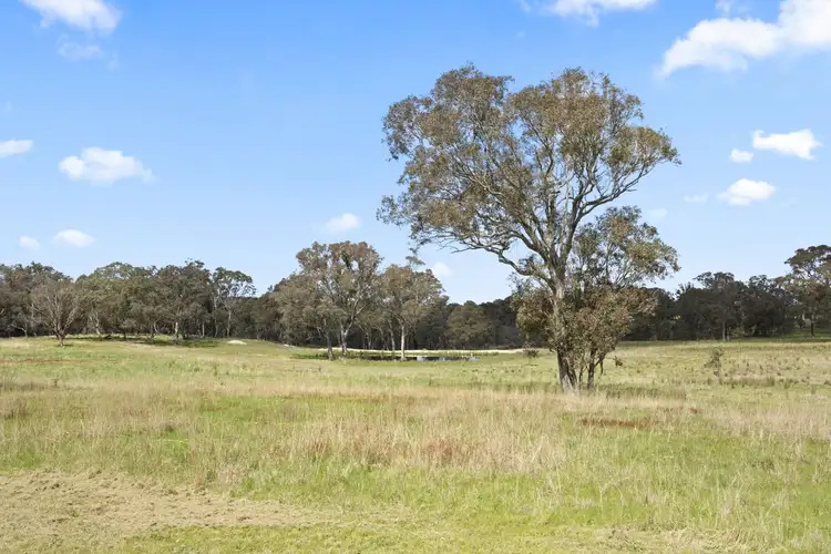 Fifth view of Homely rural property listing, 1854 Range Road, Mummel NSW 2580