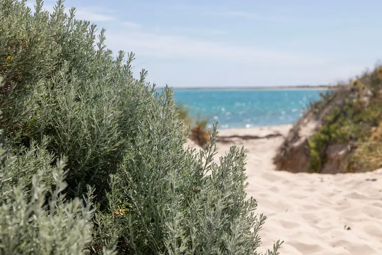 Fifth view of Homely land listing, Lot 864 Clifton Avenue, Jurien Bay WA 6516