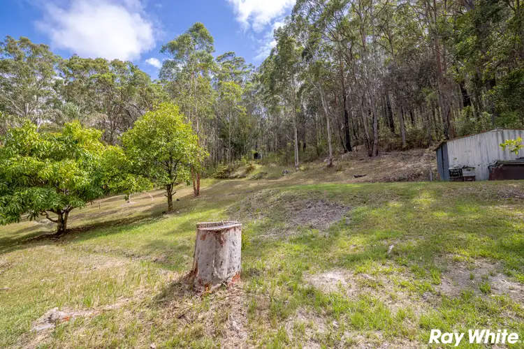 Seventh view of Homely rural property listing, 2901 The Lakes Way, Bungwahl NSW 2423