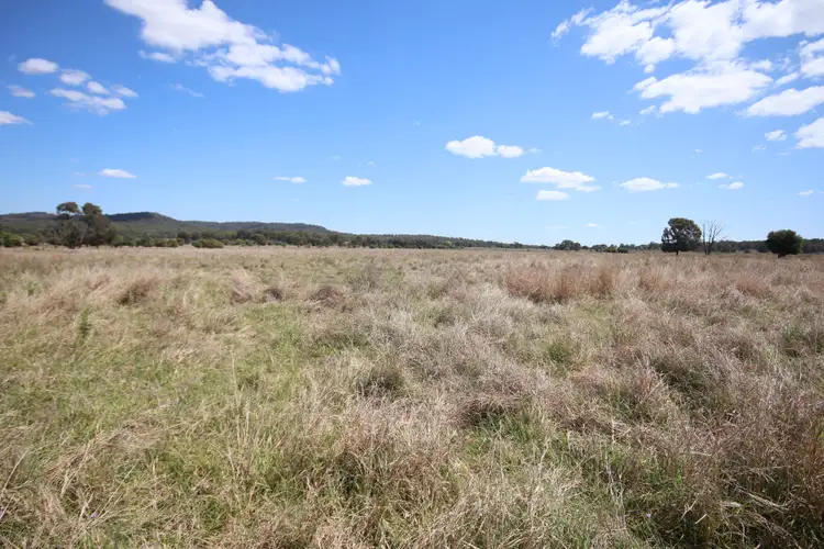 Third view of Homely rural property listing, 206 Prices Road, Kapaldo, Monto QLD 4630