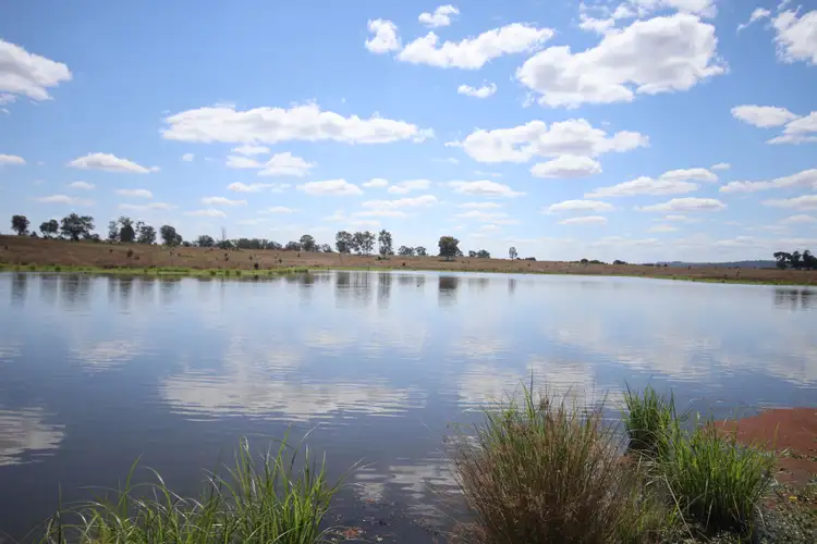 Fourth view of Homely rural property listing, 206 Prices Road, Kapaldo, Monto QLD 4630