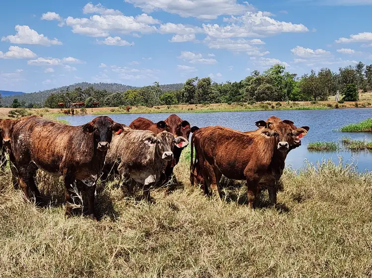 275 Nantglyn Road, Mundowran, Mundubbera QLD 4626