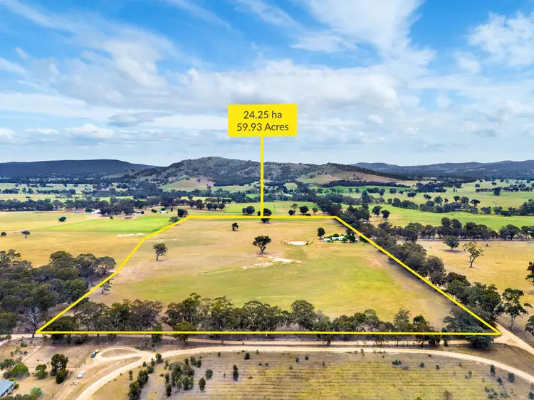 323 Puntons Road