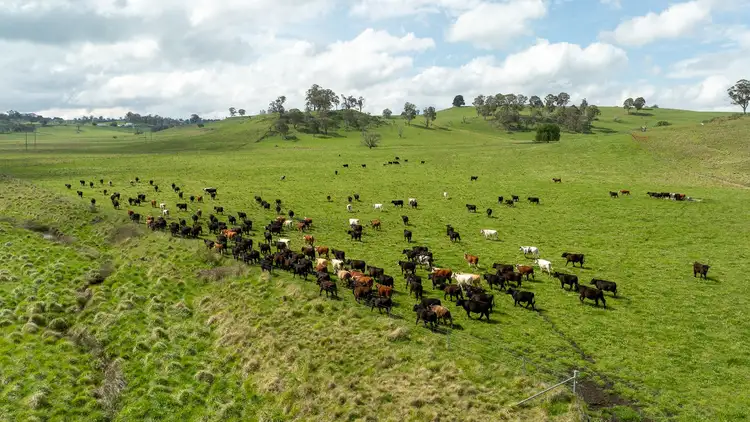Sixth view of Homely rural property listing, 75 Blush Road, Guyra NSW 2365