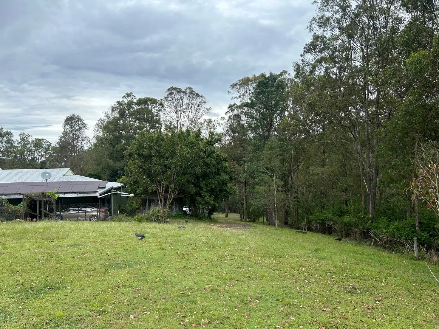 Main view of Homely rural property listing, 82 Cedarvale Road, Sandy Creek QLD 4515