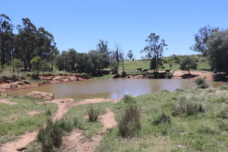 Fifth view of Homely rural property listing, 1377 Dangore Mountain Road, Dangore QLD 4610