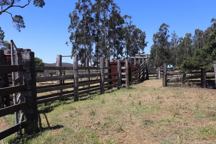 Sixth view of Homely rural property listing, 1377 Dangore Mountain Road, Dangore QLD 4610