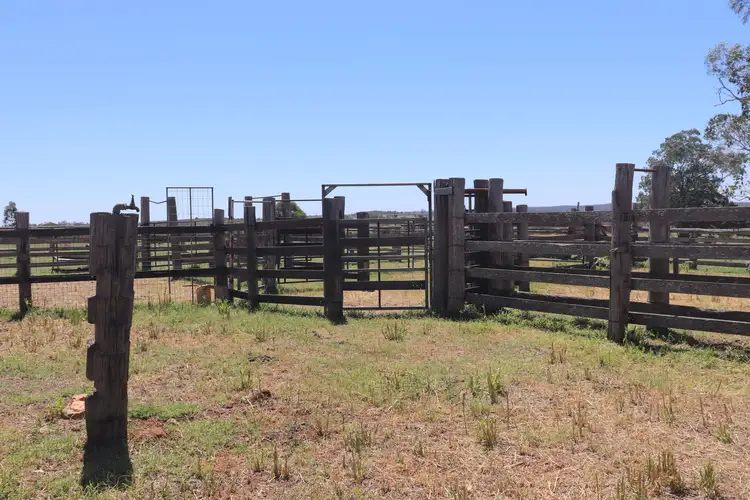 Seventh view of Homely rural property listing, 1377 Dangore Mountain Road, Dangore QLD 4610