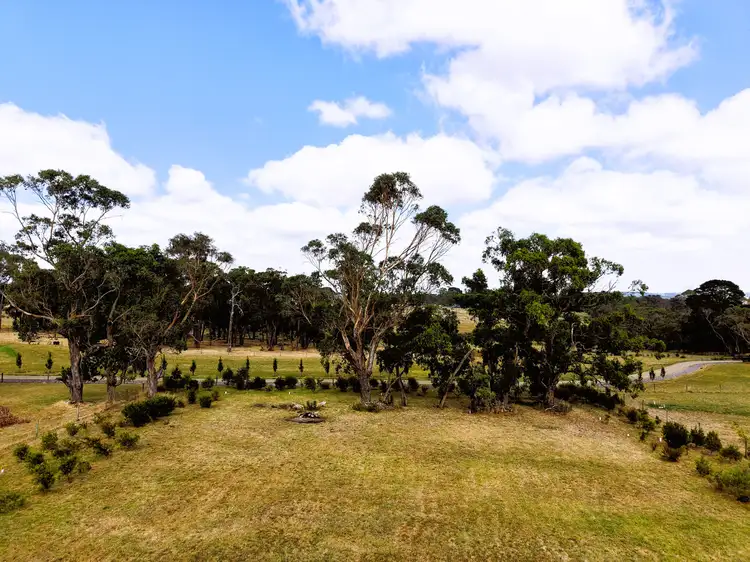Fifth view of Homely land listing, 165 Curdies River Road, Timboon VIC 3268