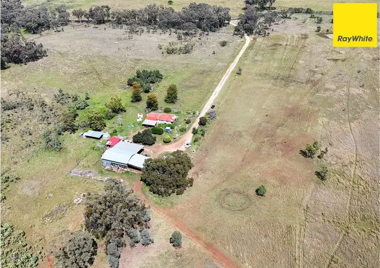 Third view of Homely rural property listing, 392 Mount Russell Road, Inverell NSW 2360