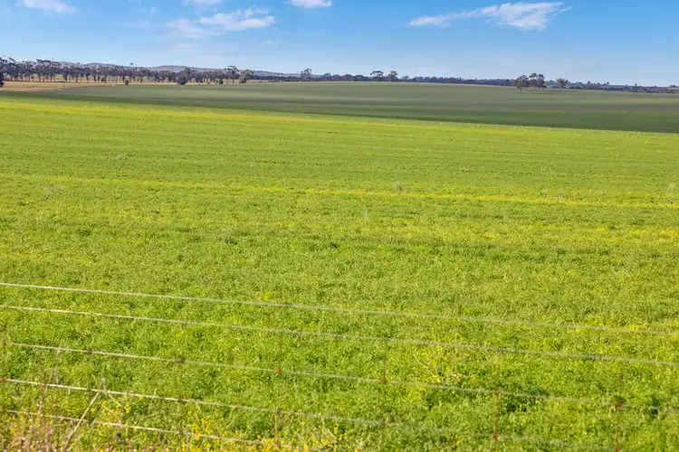 Main view of Homely rural property listing, 'The Block' Job Road, Freeling SA 5372