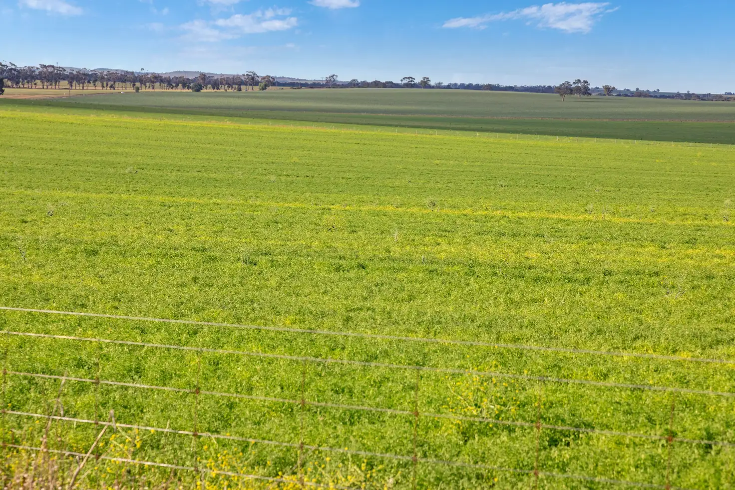 Main view of Homely rural property listing, 'The Block' Job Road, Freeling SA 5372