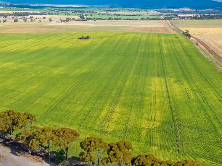 Third view of Homely rural property listing, 'The Block' Job Road, Freeling SA 5372