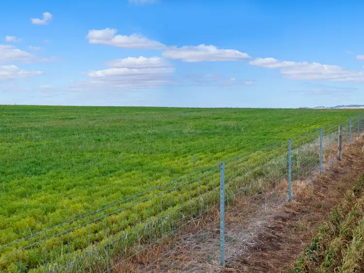 Fourth view of Homely rural property listing, 'The Block' Job Road, Freeling SA 5372