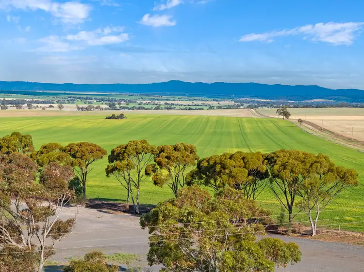 Fifth view of Homely rural property listing, 'The Block' Job Road, Freeling SA 5372