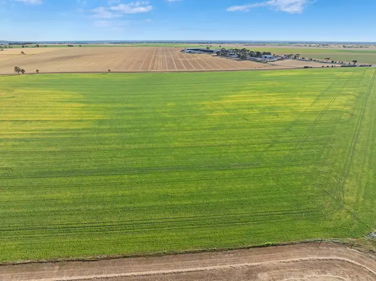 Sixth view of Homely rural property listing, 'The Block' Job Road, Freeling SA 5372
