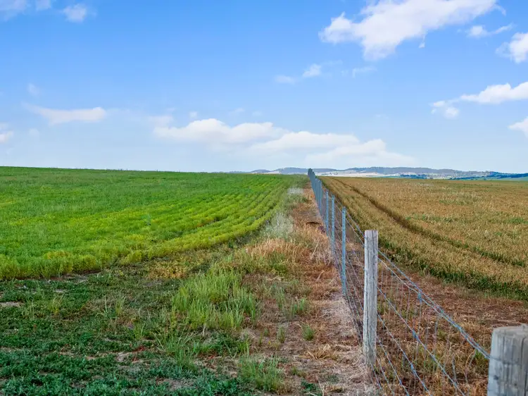 Seventh view of Homely rural property listing, 'The Block' Job Road, Freeling SA 5372