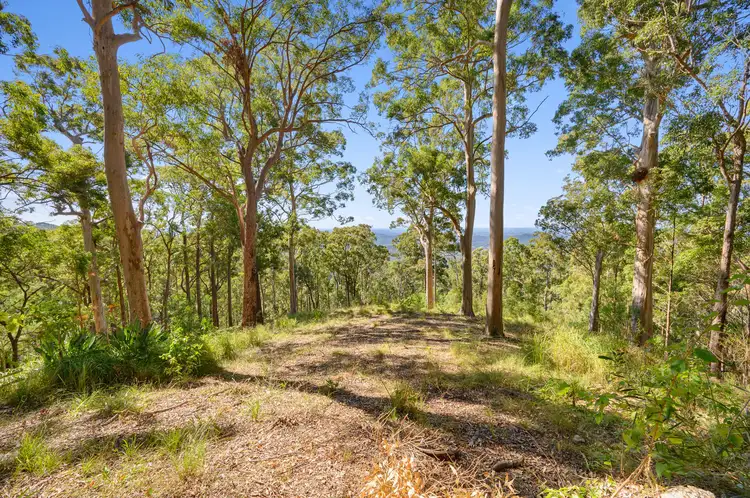 Fourth view of Homely land listing, 382 Henri Robert Drive, Clagiraba QLD 4211