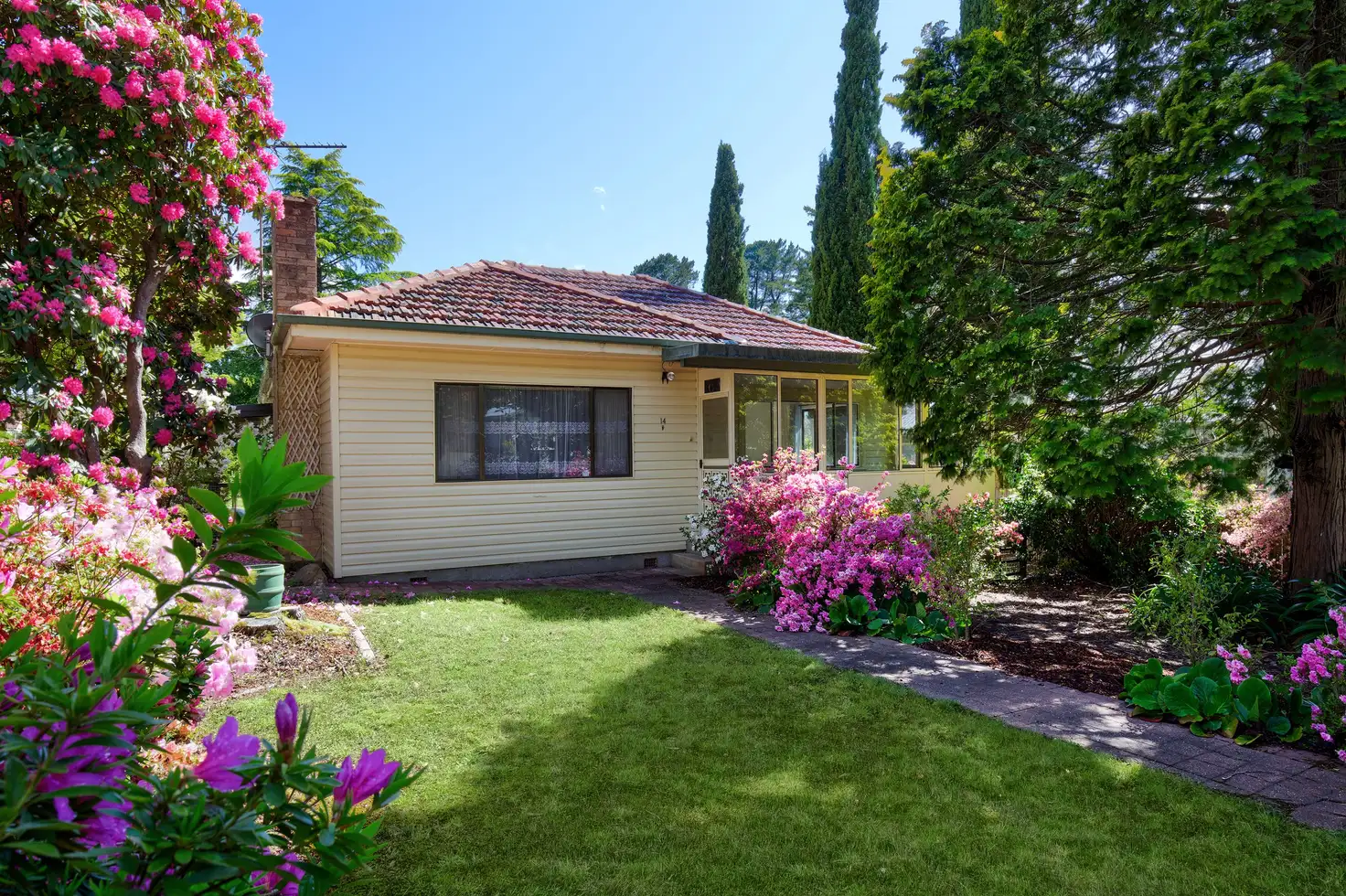 Main view of Homely house listing, 14 Belvidere Avenue, Blackheath NSW 2785