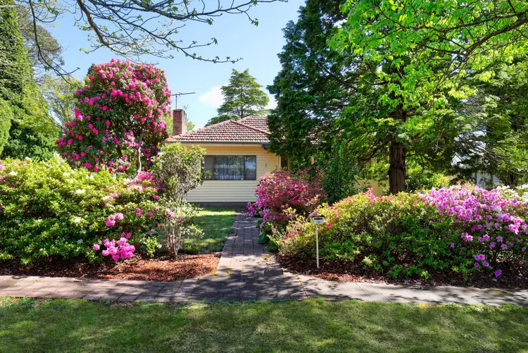 Second view of Homely house listing, 14 Belvidere Avenue, Blackheath NSW 2785